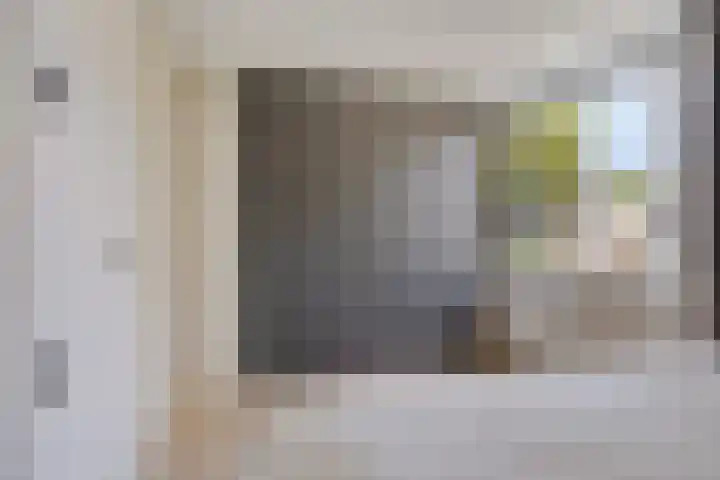 Wijnruit 12 Oosterhout thumbnail 16