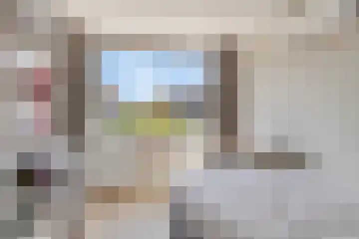 Wijnruit 12 Oosterhout thumbnail 17