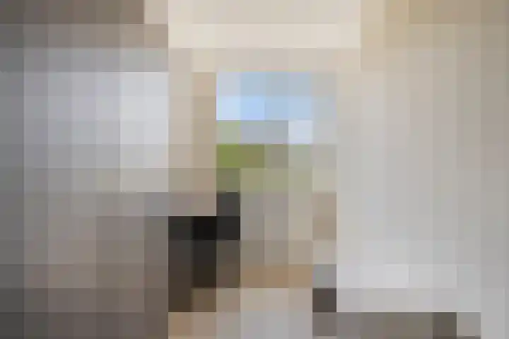 Wijnruit 12 Oosterhout thumbnail 18