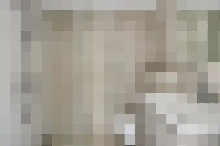 Wijnruit 12 Oosterhout thumbnail 19