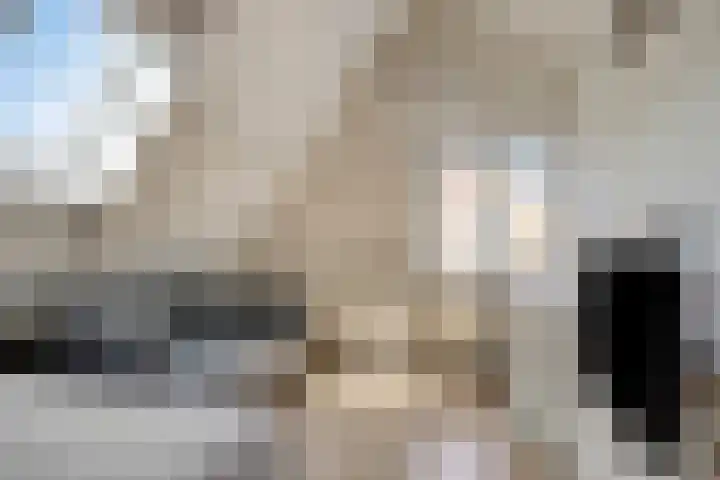 Wijnruit 12 Oosterhout thumbnail 21