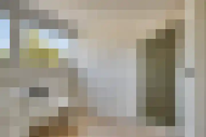 Wijnruit 12 Oosterhout thumbnail 22