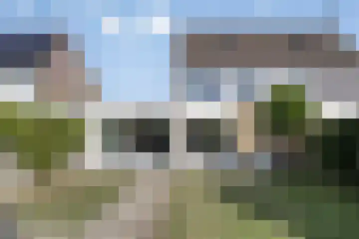 Wijnruit 12 Oosterhout thumbnail 24
