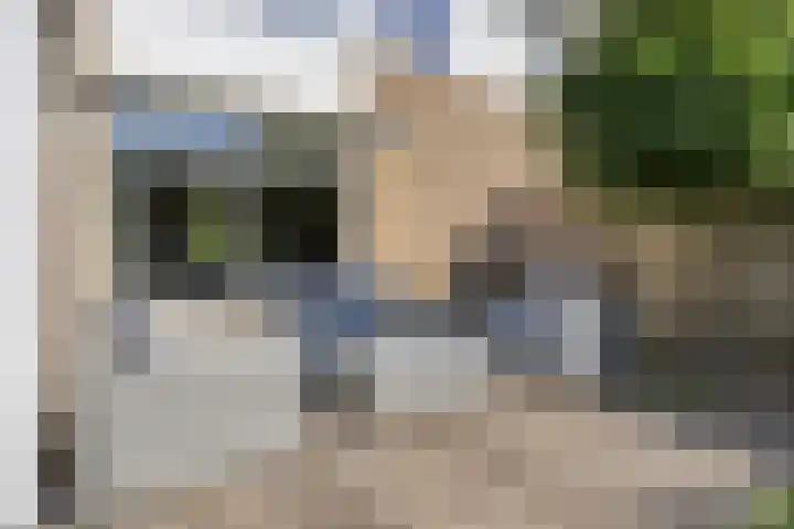 Wijnruit 12 Oosterhout thumbnail 25