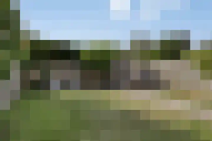 Wijnruit 12 Oosterhout thumbnail 26