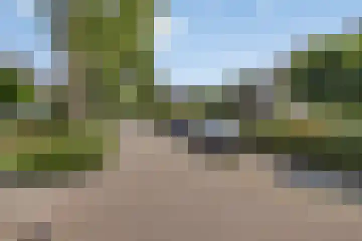 Wijnruit 12 Oosterhout thumbnail 28
