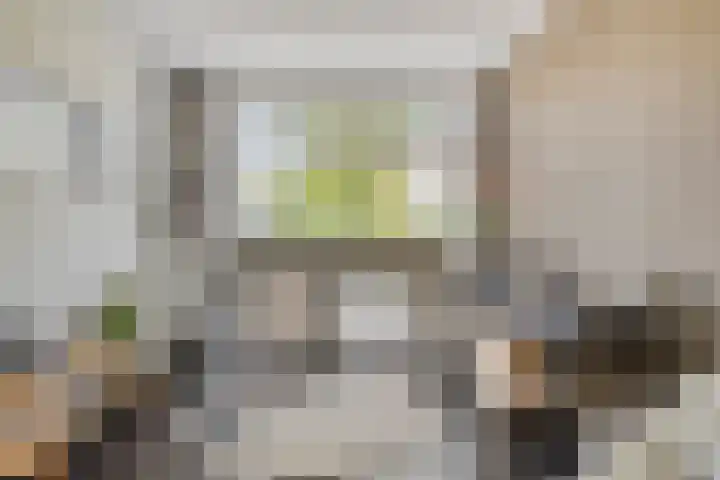 Wijnruit 12 Oosterhout thumbnail 5