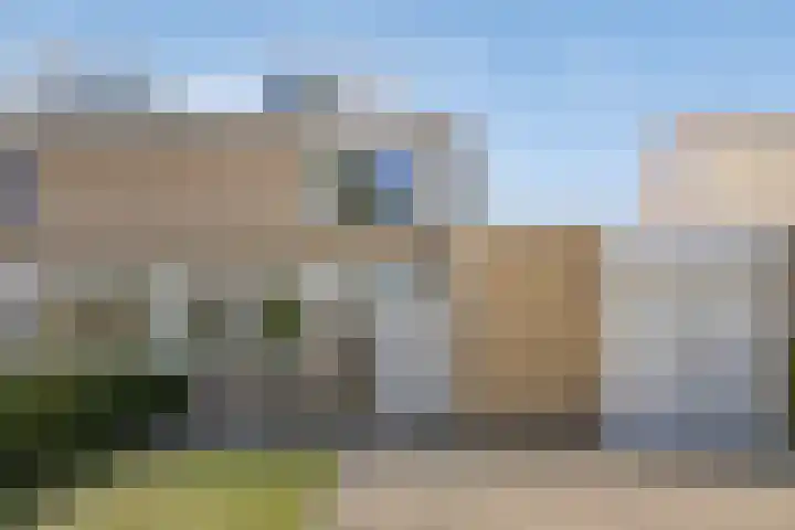 Wijnruit 12 Oosterhout thumbnail 6