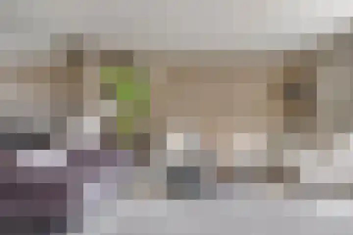 Wijnruit 12 Oosterhout thumbnail 8
