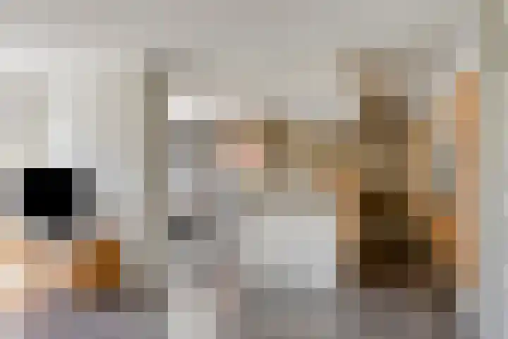 Wijnruit 12 Oosterhout thumbnail 9