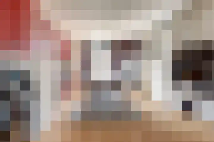 Wijnruit 13 Cuijk thumbnail 14