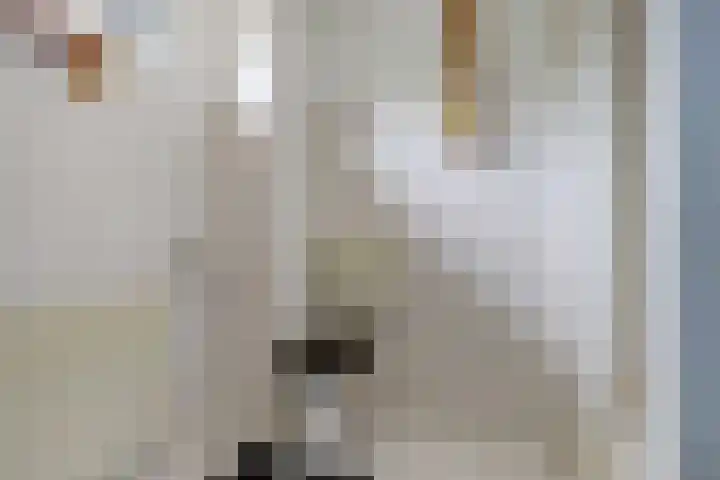 Wijnruit 13 Cuijk thumbnail 20