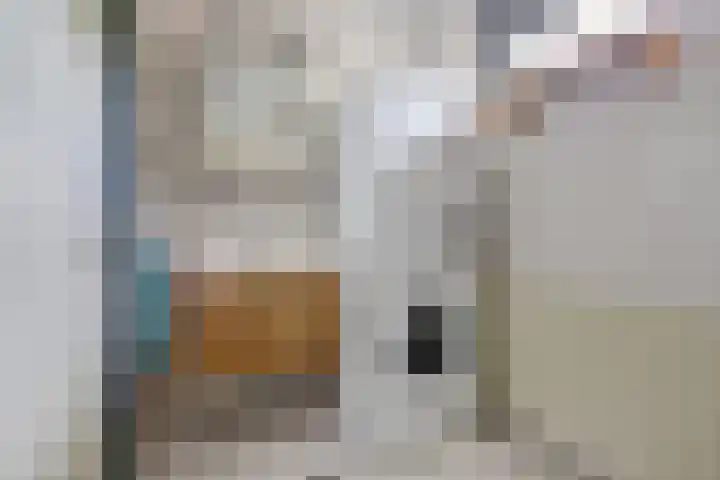 Wijnruit 13 Cuijk thumbnail 22