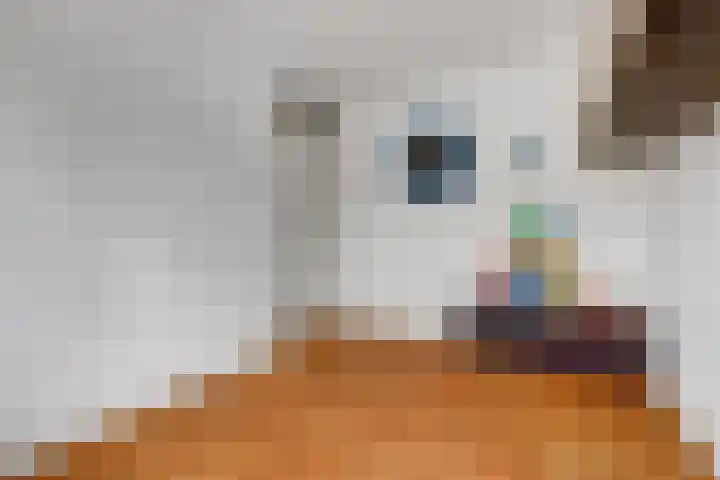 Wijnruit 13 Cuijk thumbnail 23