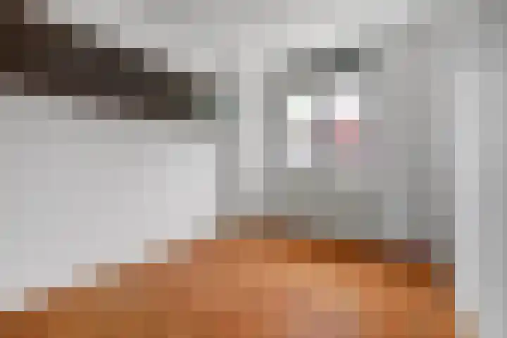 Wijnruit 13 Cuijk thumbnail 24