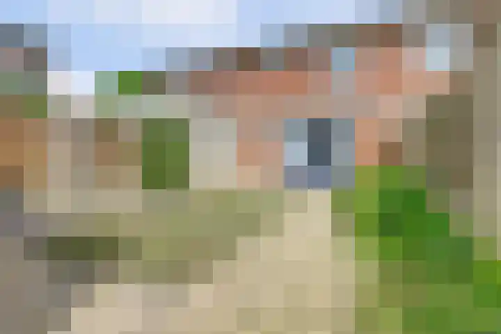Wijnruit 13 Cuijk thumbnail 25