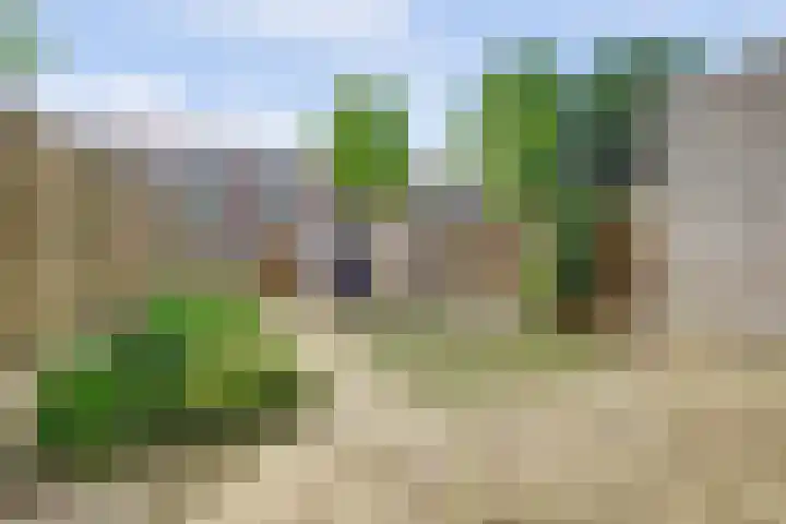 Wijnruit 13 Cuijk thumbnail 26