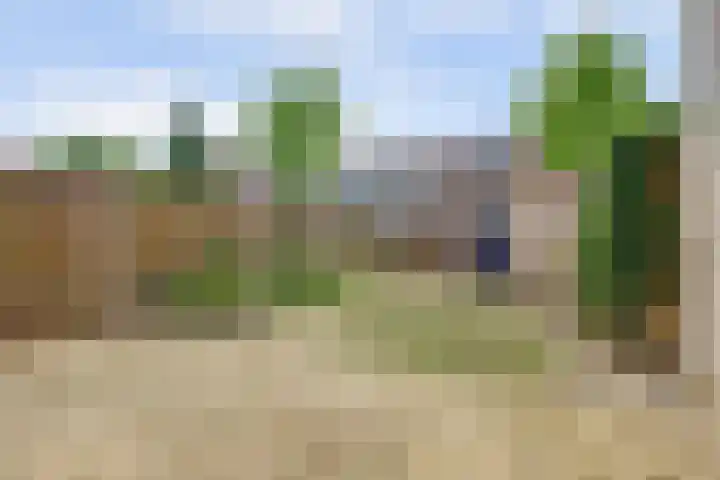 Wijnruit 13 Cuijk thumbnail 27
