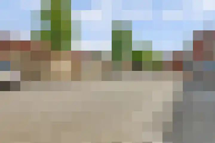 Wijnruit 13 Cuijk thumbnail 29