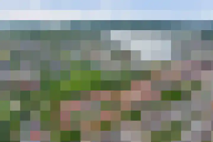 Wijnruit 13 Cuijk thumbnail 30