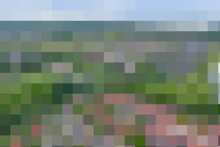 Wijnruit 13 Cuijk thumbnail 31