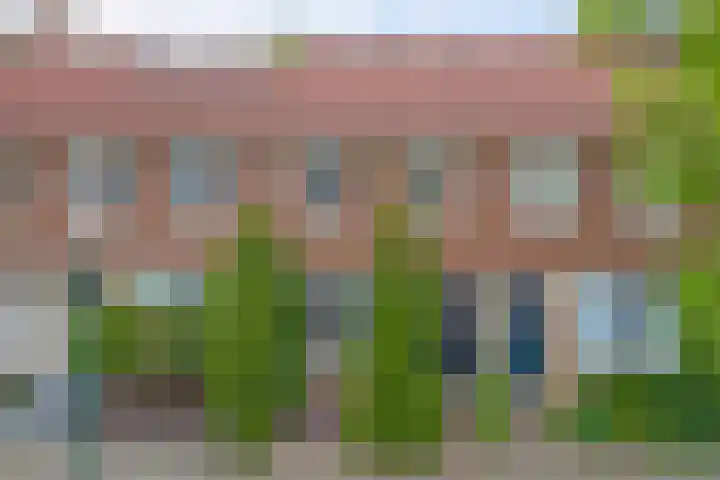 Wijnruit 13 Cuijk thumbnail 39