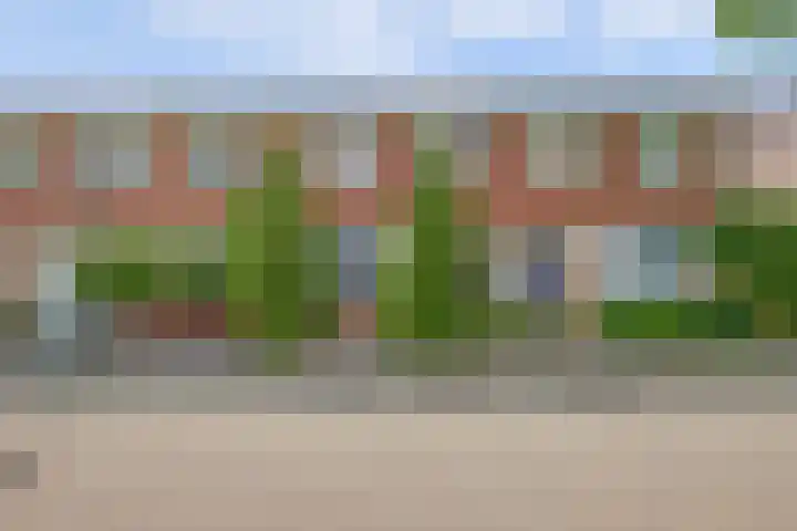 Wijnruit 13 Cuijk thumbnail 6