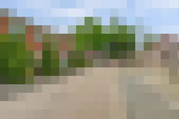 Wijnruit 13 Cuijk thumbnail 7