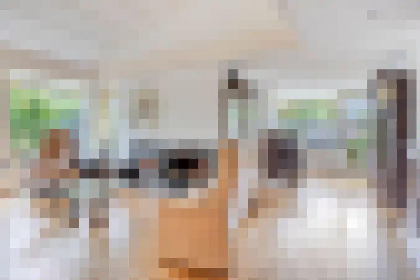 Wijnruit 47 Oosterhout thumbnail 10