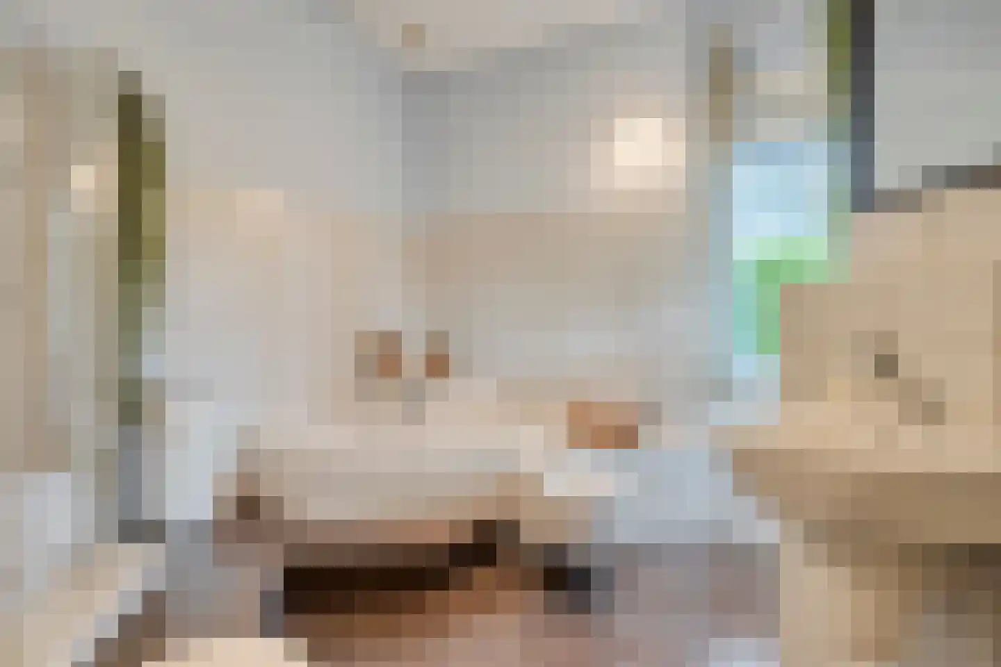 Wijnruit 47 Oosterhout thumbnail 26