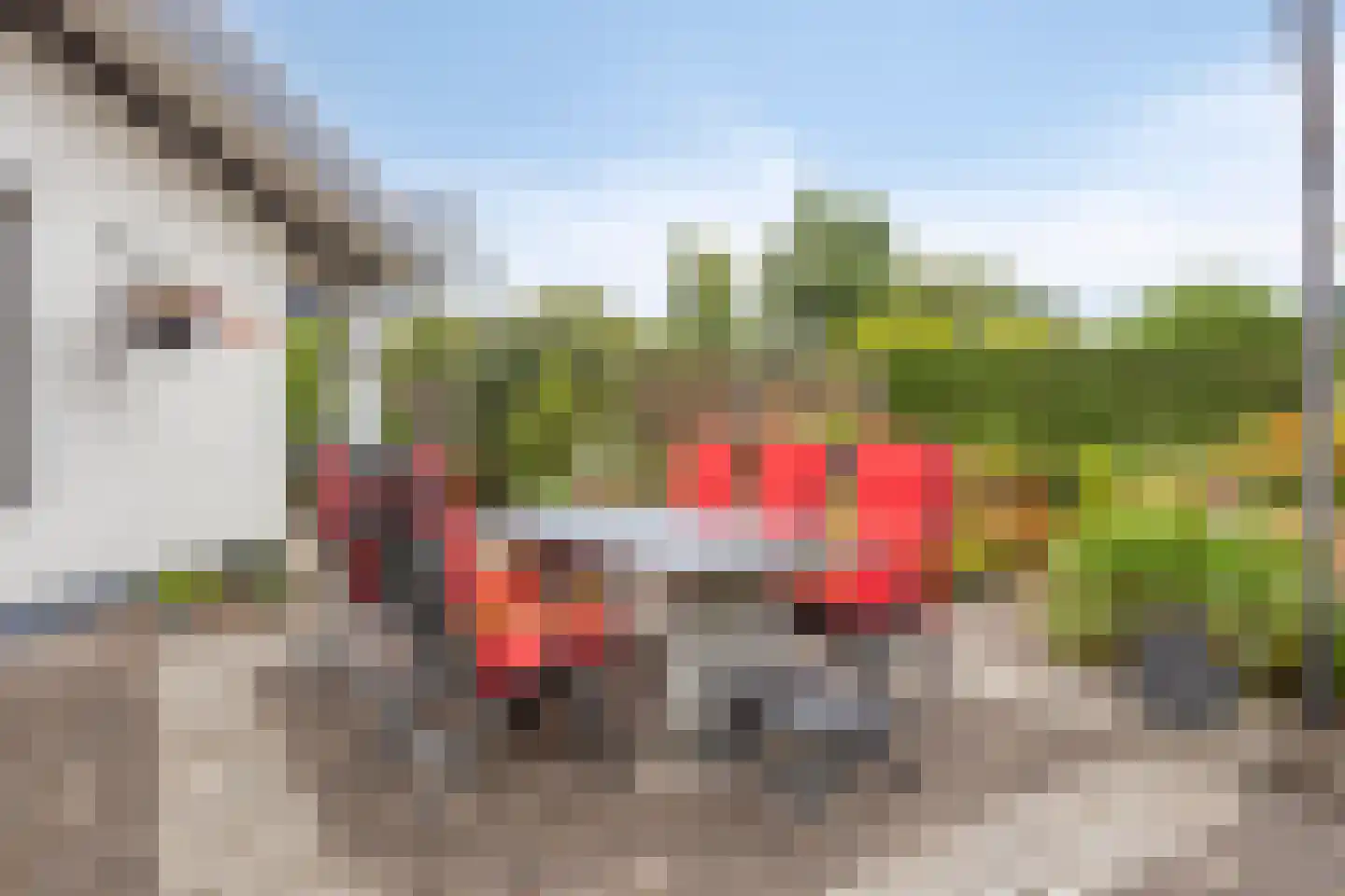 Wijnruit 47 Oosterhout thumbnail 28