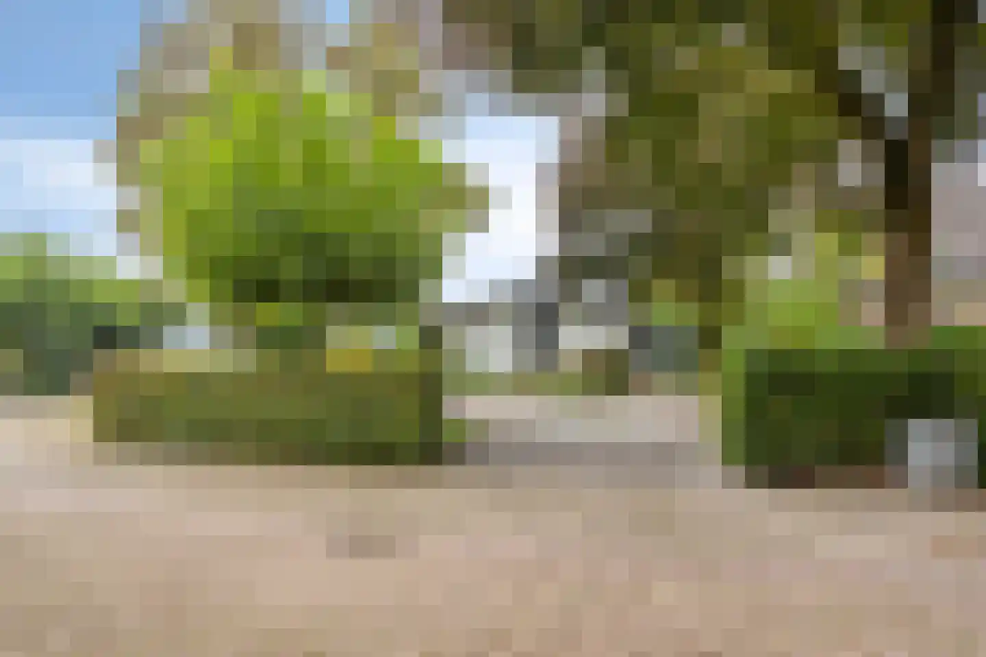 Wijnruit 47 Oosterhout thumbnail 29
