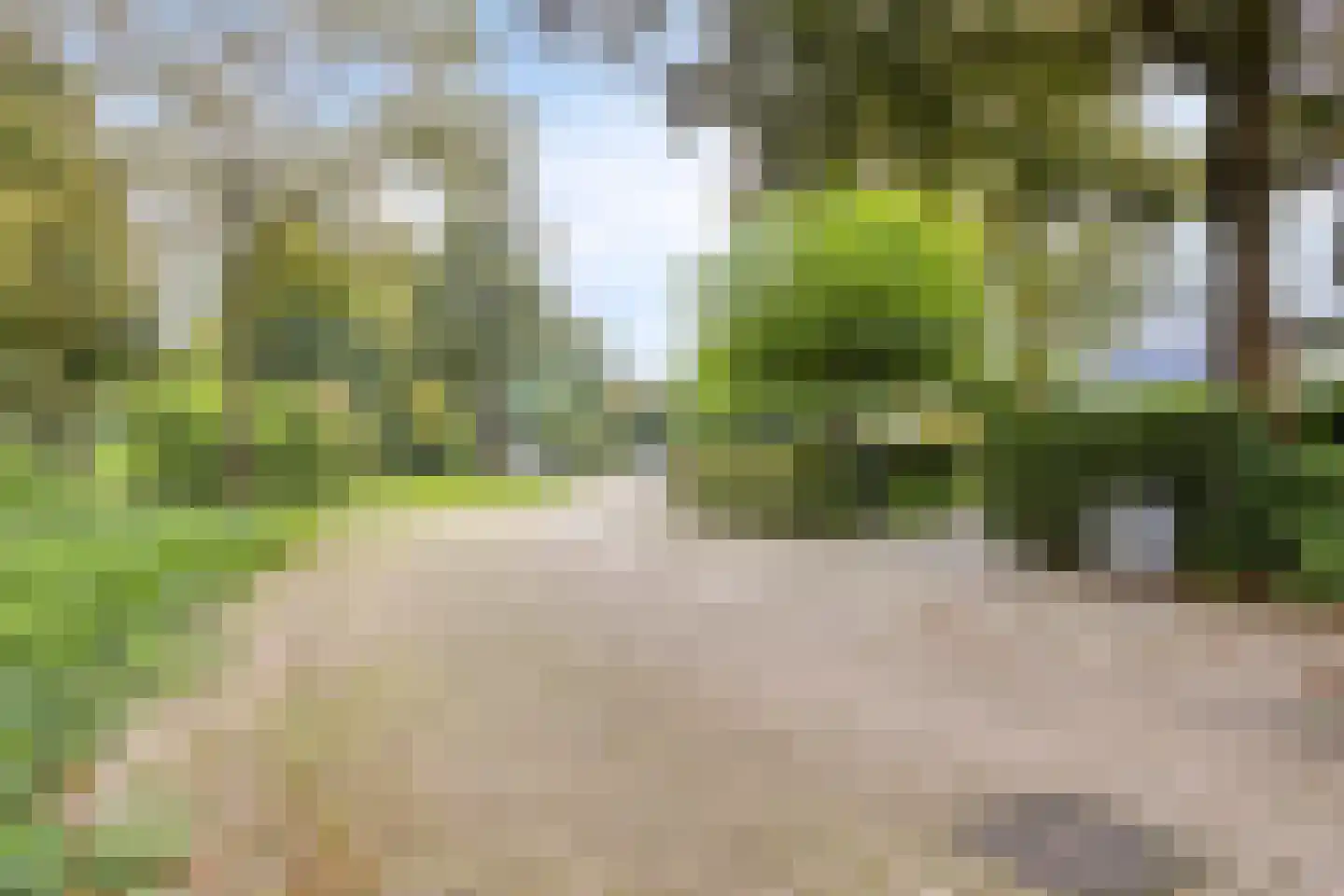 Wijnruit 47 Oosterhout thumbnail 30