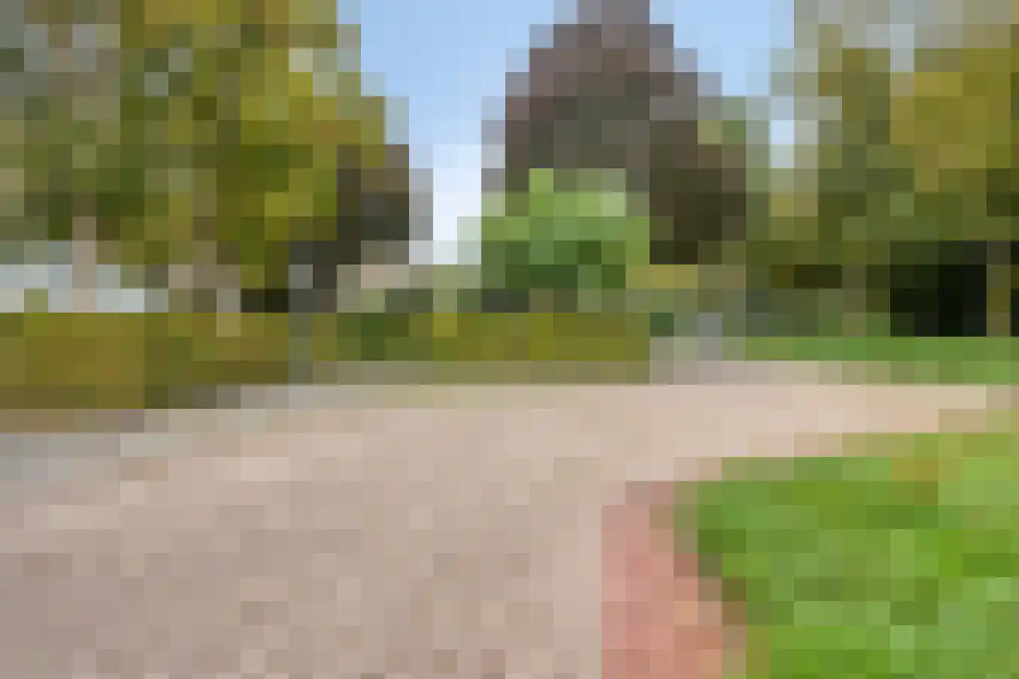 Wijnruit 47 Oosterhout thumbnail 31
