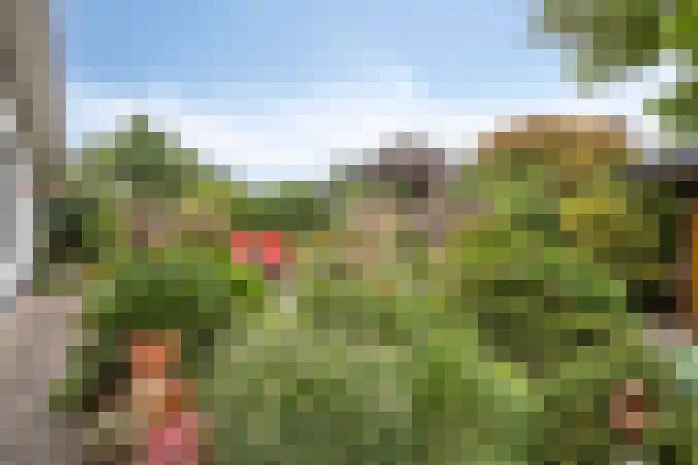 Wijnruit 47 Oosterhout thumbnail 32