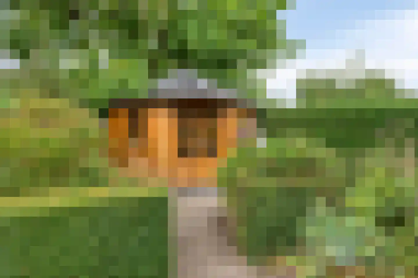 Wijnruit 47 Oosterhout thumbnail 34