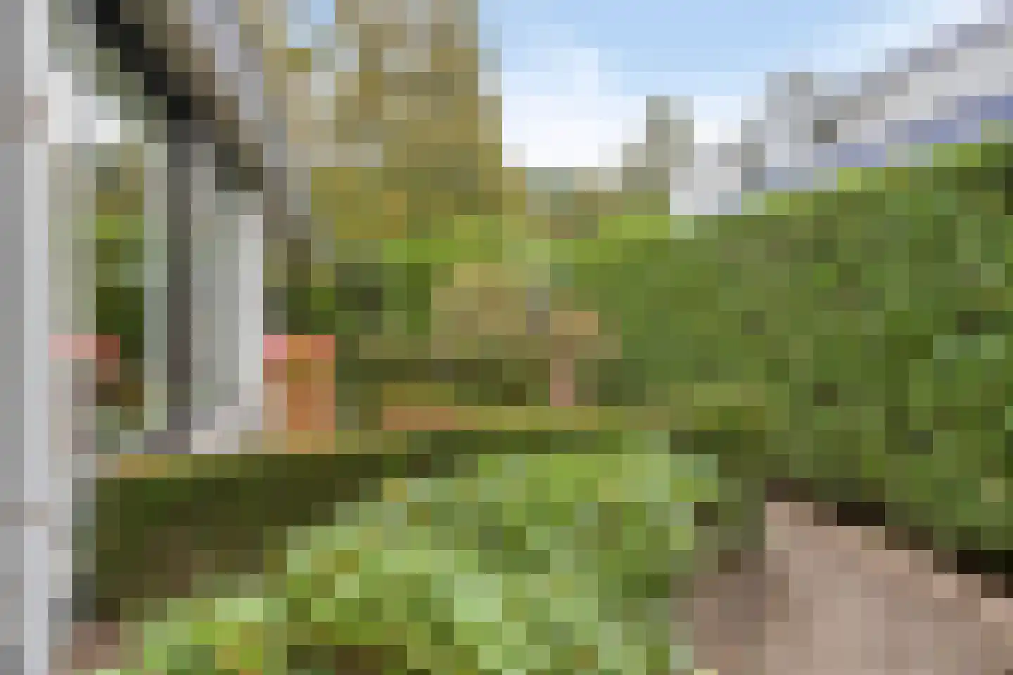 Wijnruit 47 Oosterhout thumbnail 36