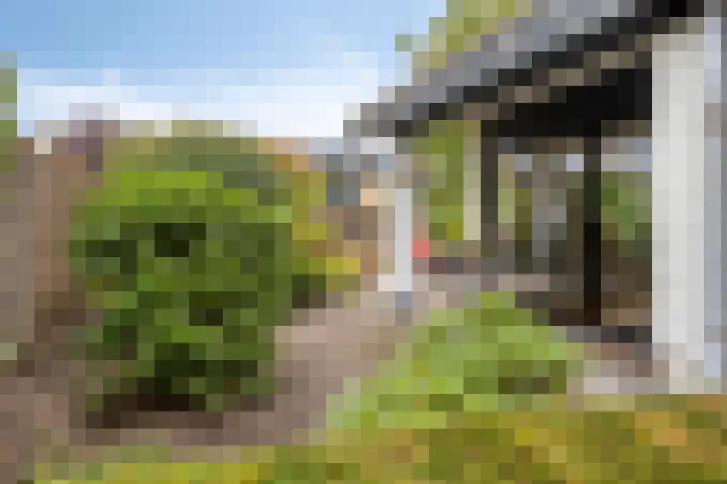 Wijnruit 47 Oosterhout thumbnail 37