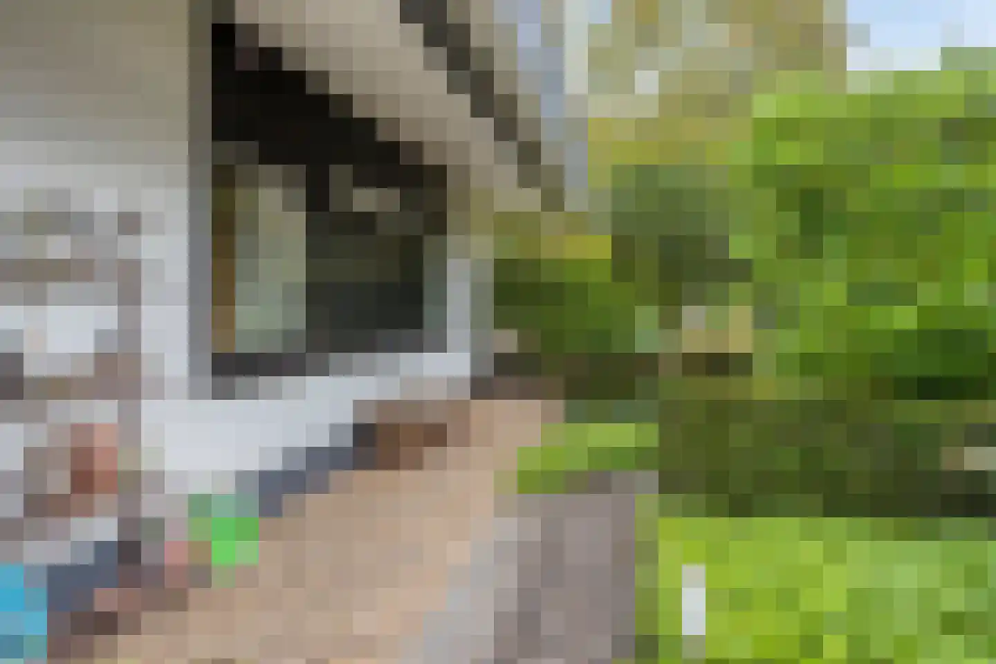 Wijnruit 47 Oosterhout thumbnail 38