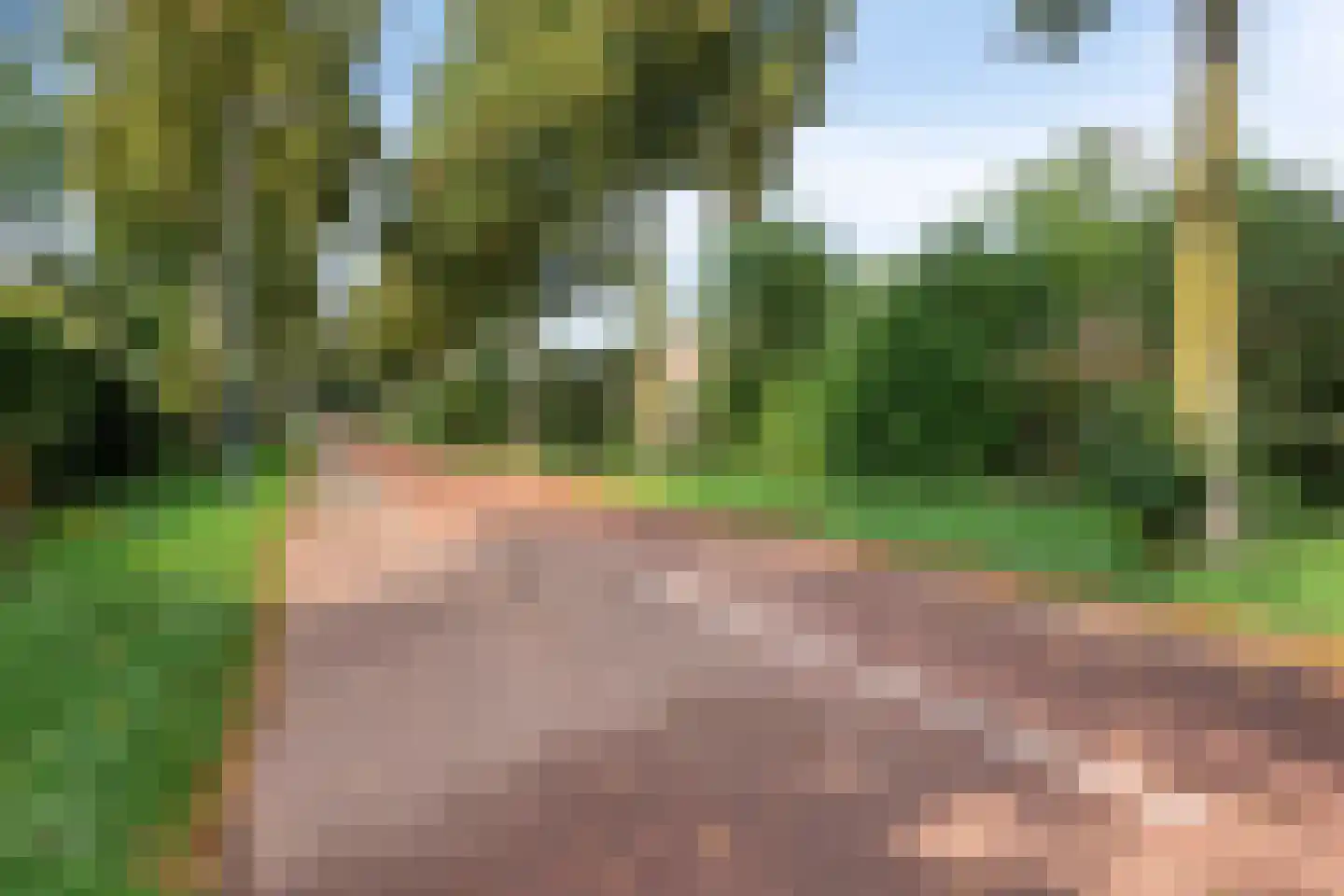 Wijnruit 47 Oosterhout thumbnail 39
