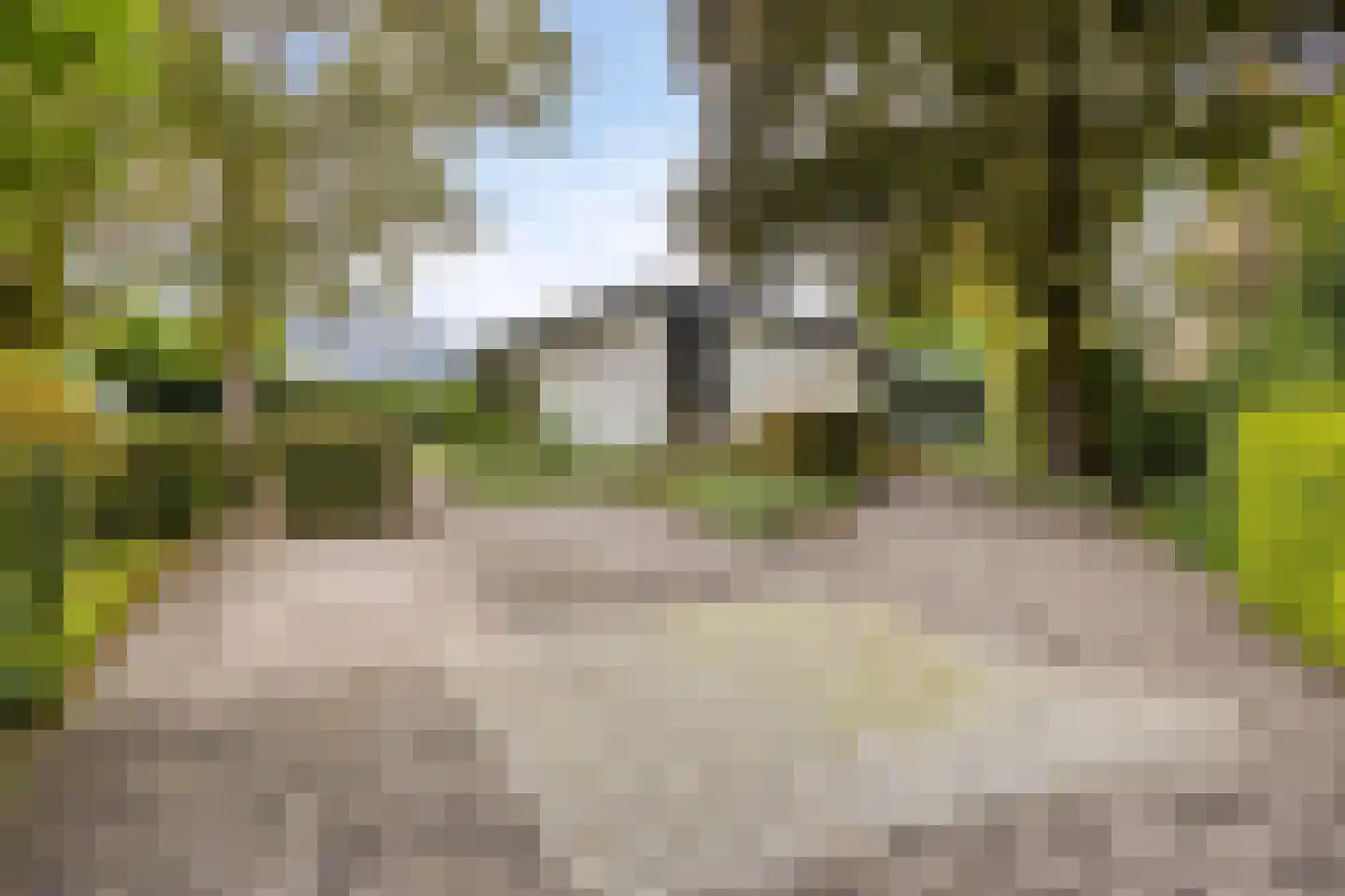 Wijnruit 47 Oosterhout thumbnail 4