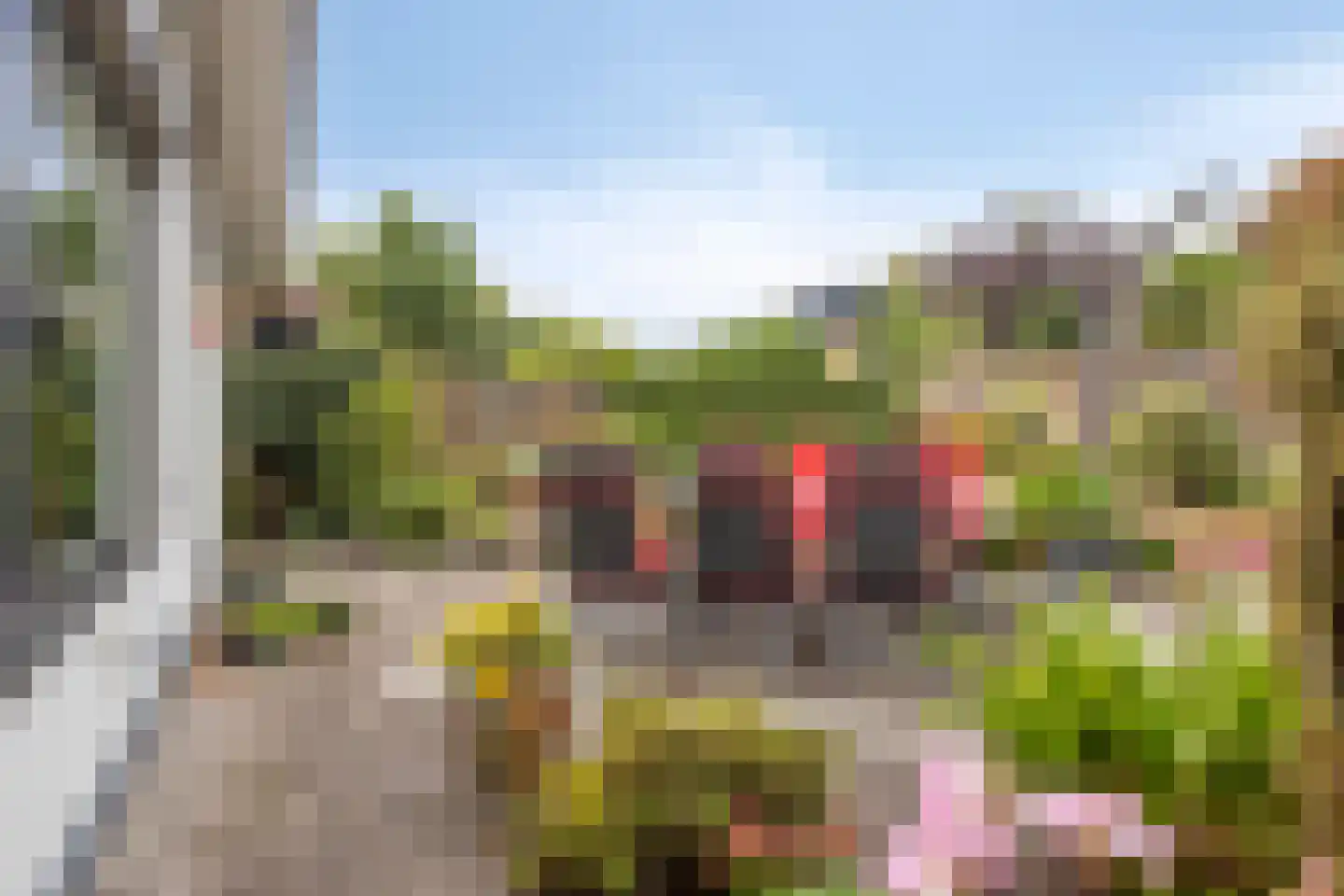 Wijnruit 47 Oosterhout thumbnail 5