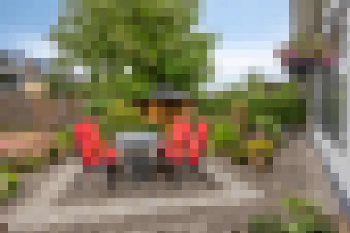 Wijnruit 47 Oosterhout thumbnail 6