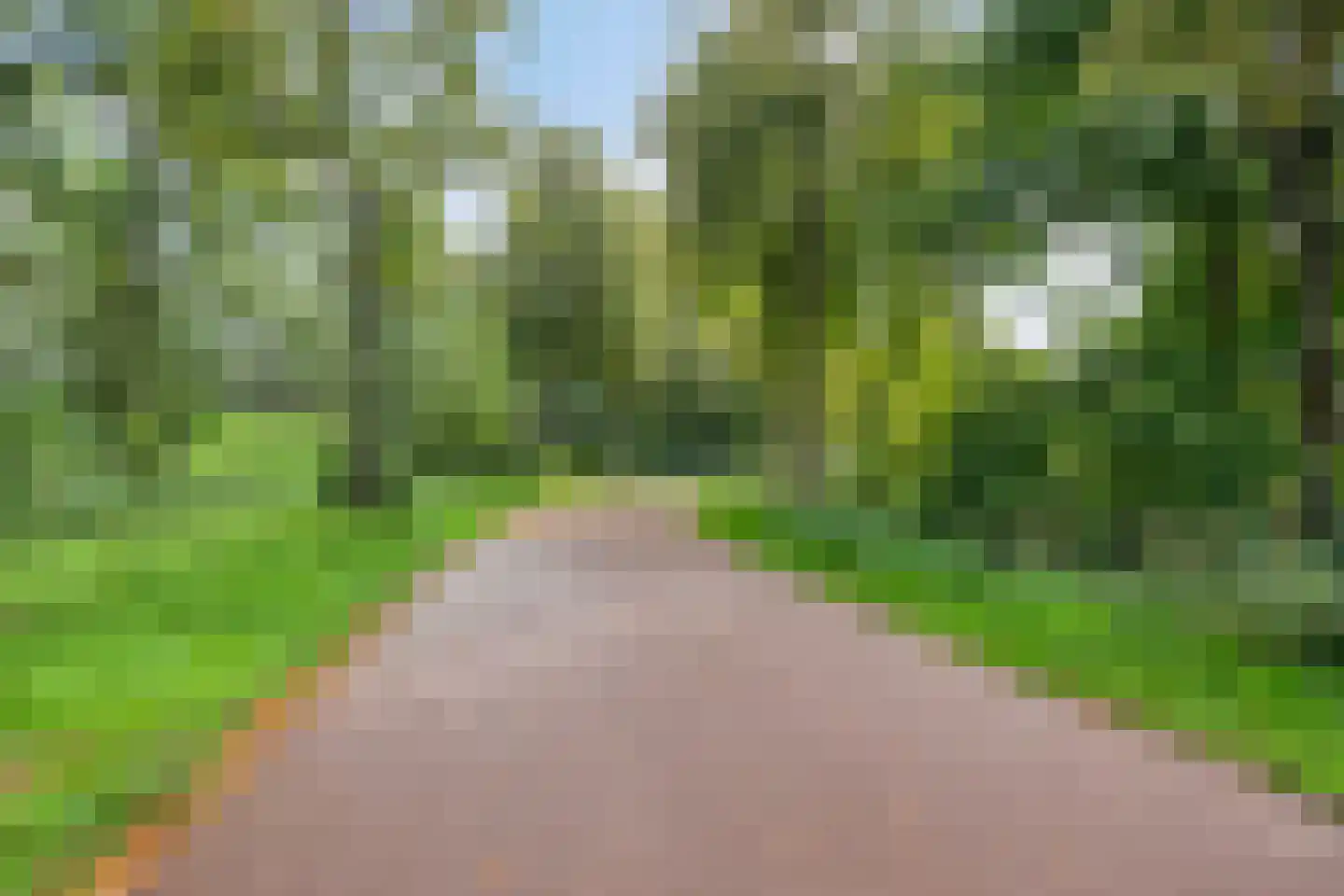 Wijnruit 47 Oosterhout thumbnail 7