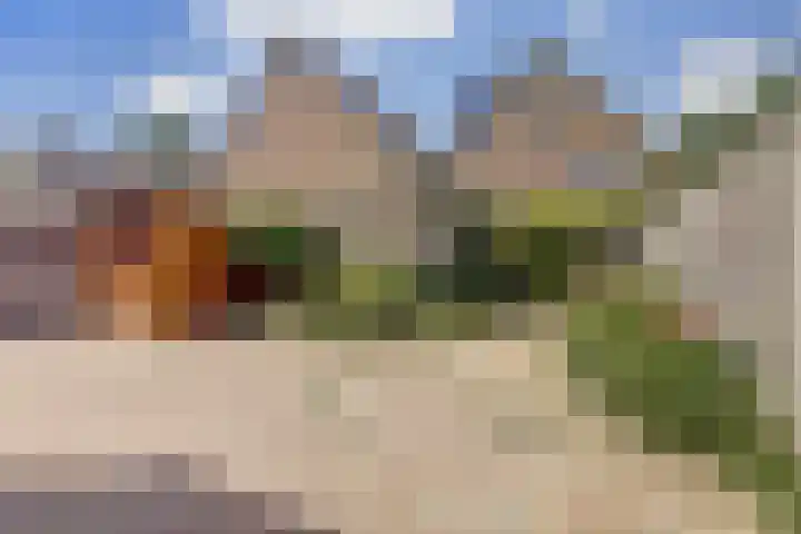 Wijnruitgaarde 41 Nieuwegein thumbnail 12