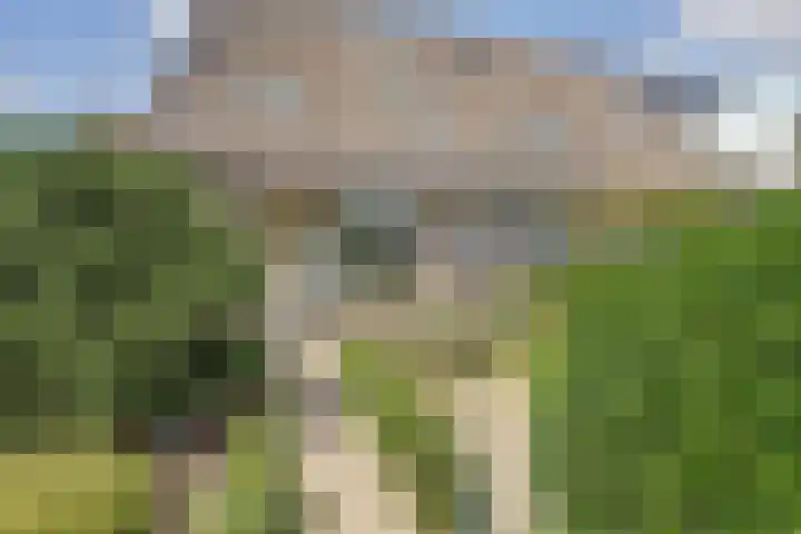 Wijnruitgaarde 41 Nieuwegein thumbnail 36