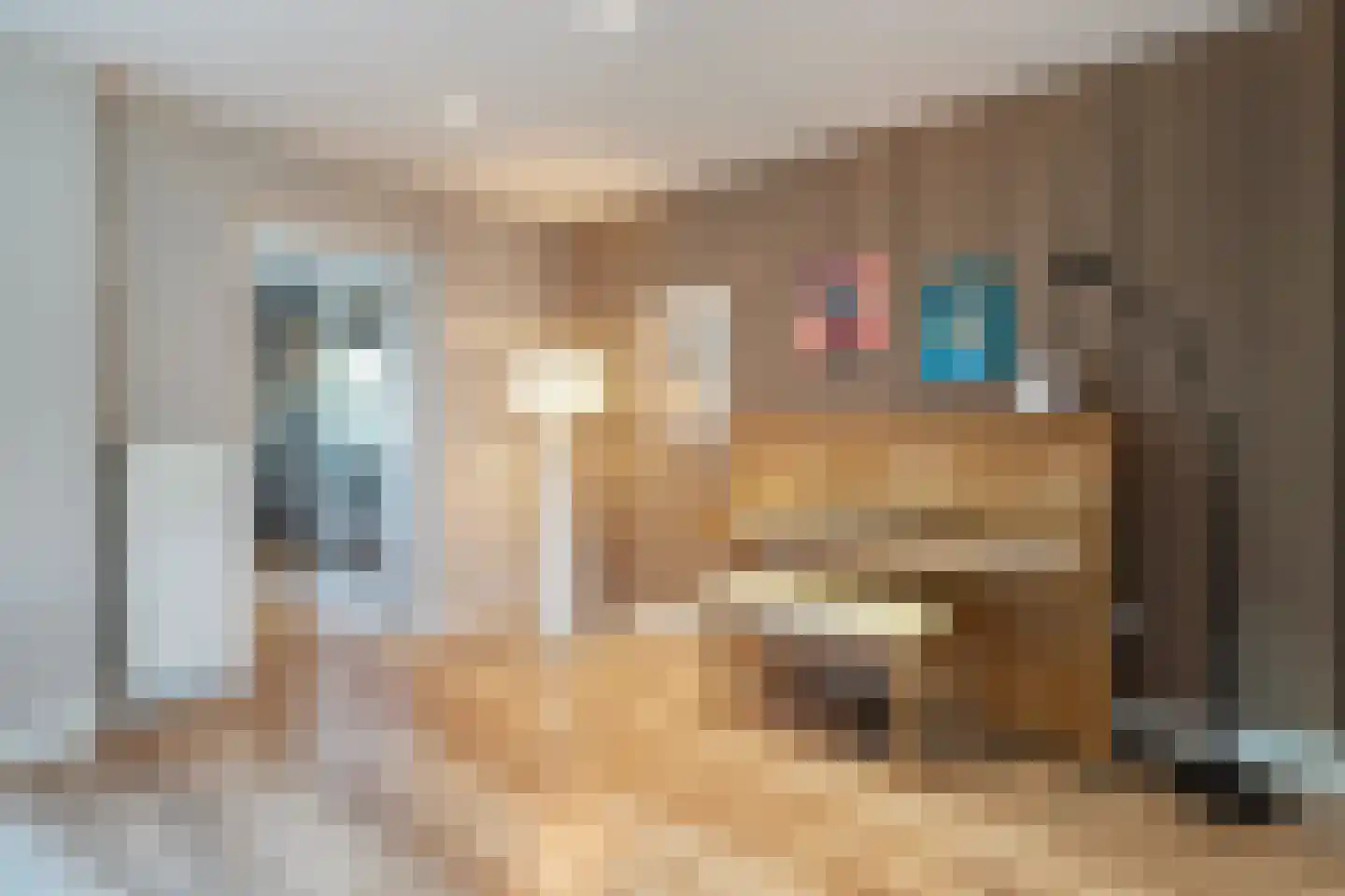 Wijnruitstraat 1 Wierden thumbnail 12