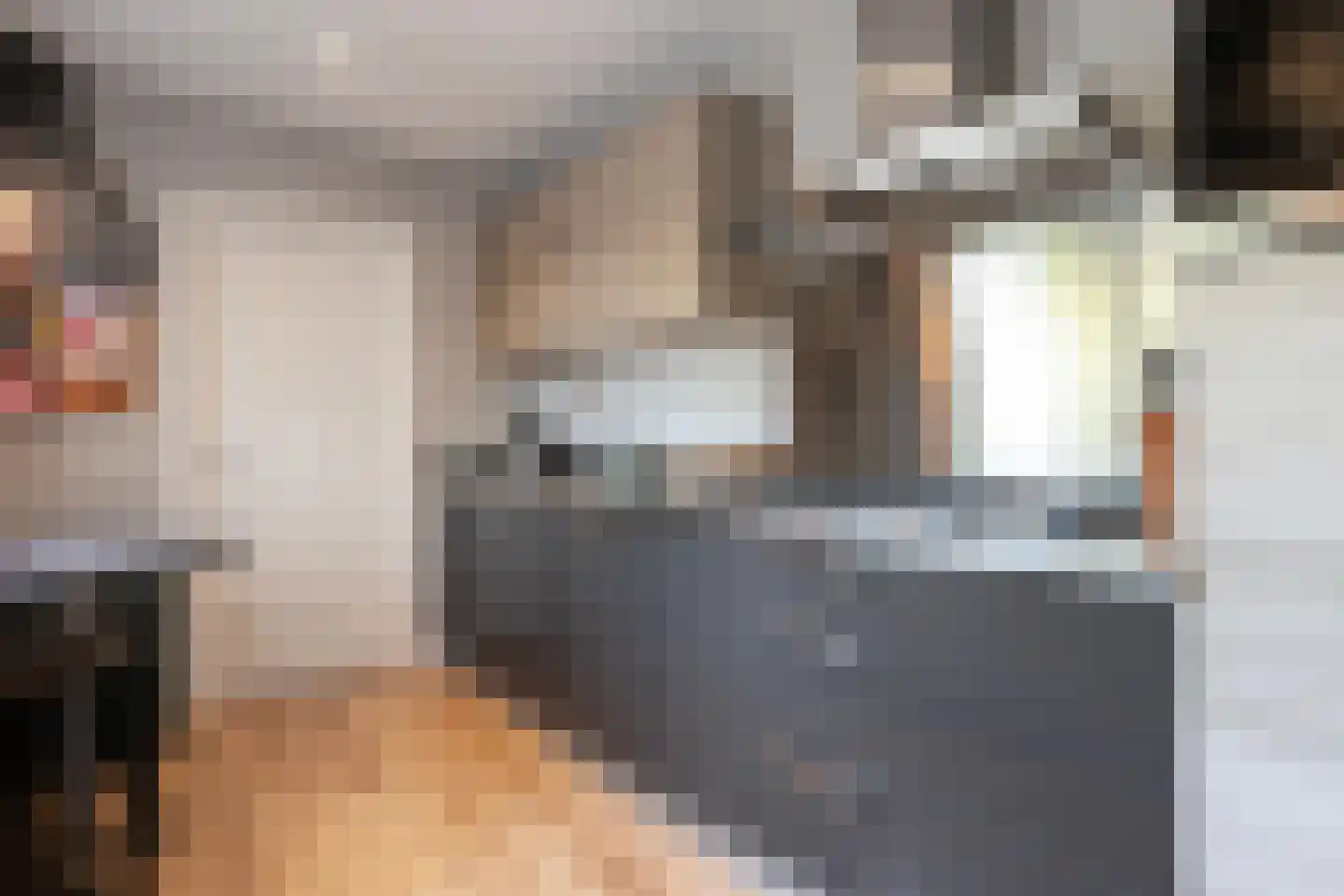 Wijnruitstraat 1 Wierden thumbnail 13