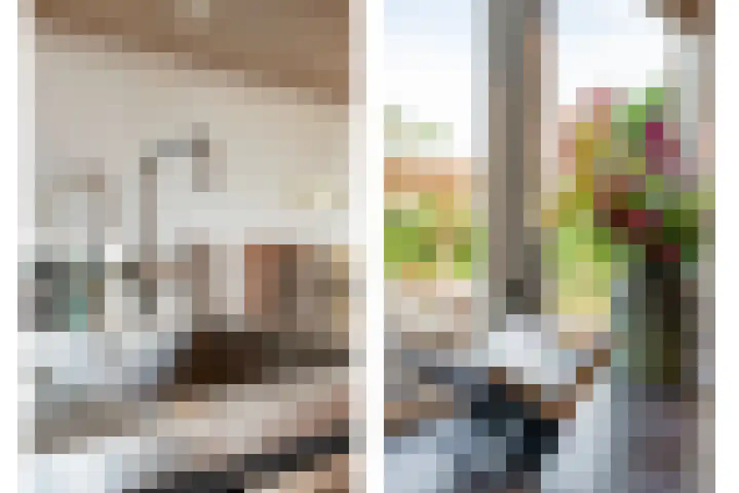 Wijnruitstraat 1 Wierden thumbnail 14