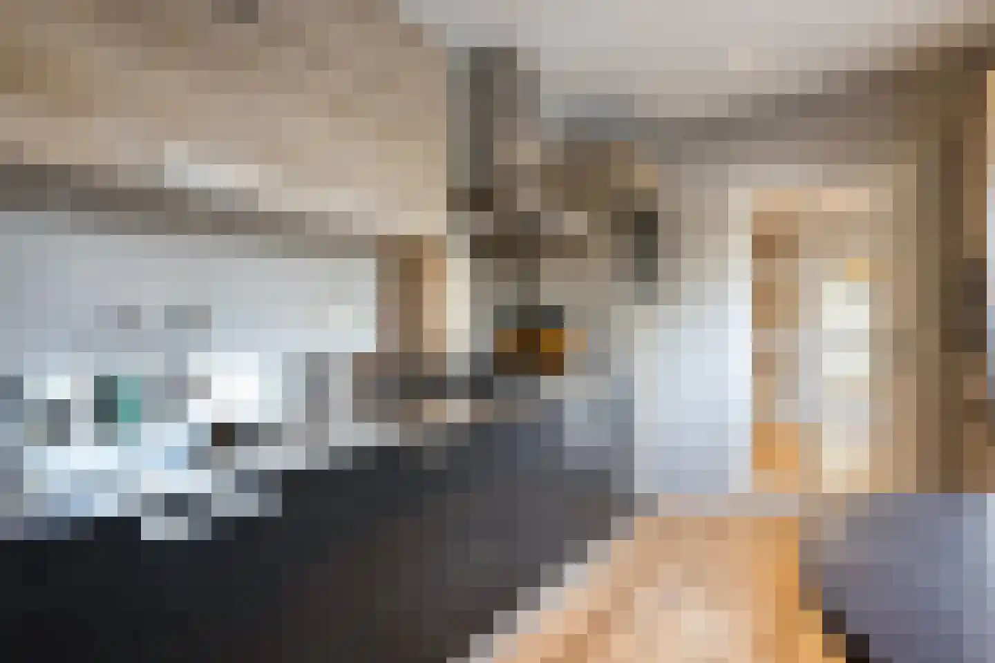 Wijnruitstraat 1 Wierden thumbnail 17